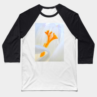 Crocus stamens ~ trumpet Spring Baseball T-Shirt